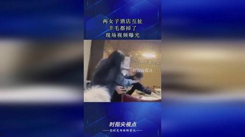 最新羊毛爆料视频播放网站,最新爆料带你畅游羊毛世界