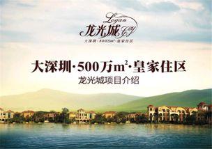 龙光城爆料最新消息新闻,揭秘项目进展与周边动态